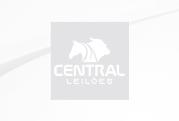 LEILÃO VIRTUAL CENTRAL PANTANAL COXIM